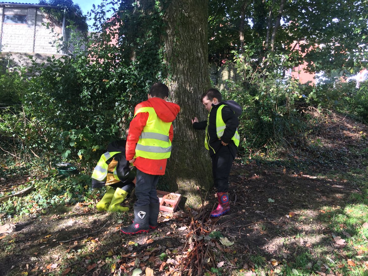 Miss Cecen tweet media