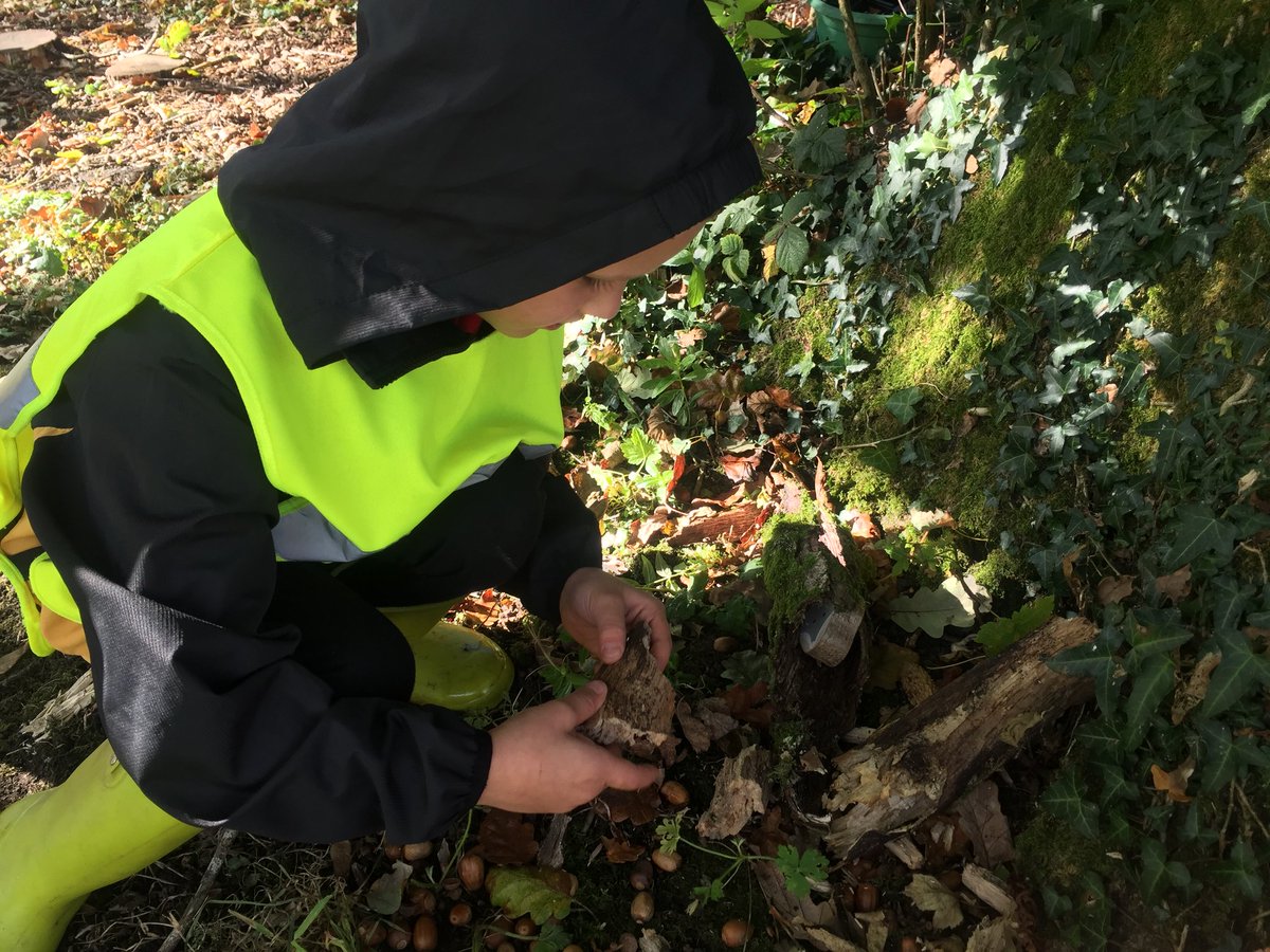 Miss Cecen tweet media