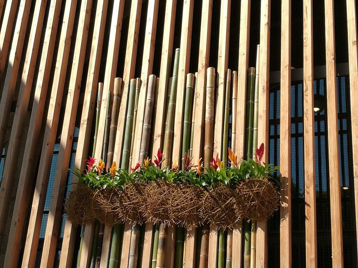 Download Museu Maritim On Twitter L Mmb Se Suma A La Celebracio De Les For Free Get Wallpaper Museu Maritim On Twitter L Mmb Se Suma A La Celebracio De Les For Android