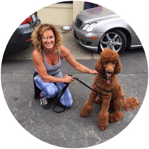 pilatessonoma's tweet photo. Walk&amp;talk with Perry &amp; Louie TODAY@9:30AM. Turn off your computer and go! More info here. https://t.co/E8y7m1wDZW https://t.co/mersEttumW