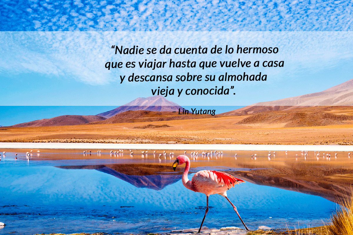 locuvuelos's tweet photo. Para cuando las dificultades son tantas que dudas si viajar es algo tan hermoso como dicen. #viajar #vuelos #frases https://t.co/jJZbS2zGIM