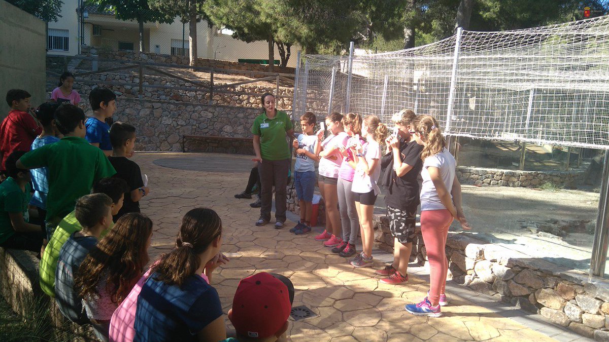 ElVallePR's tweet photo. Celebrando #DiadelasAves con alumnos de 6º de primaria CEIP Virgen de La Fuensanta. Actividad #EdAmbiental 💚🌍y liberación de #mochuelo🦉#CRFS https://t.co/wN53KUYVTW
