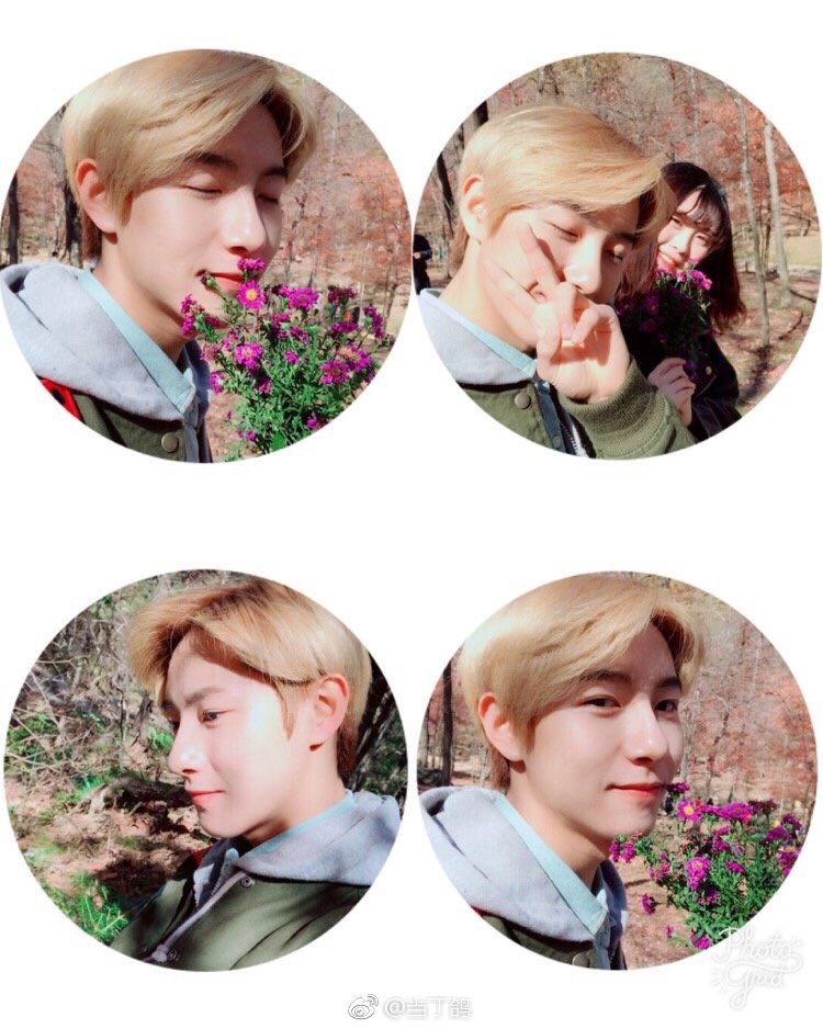 NCTLokal's tweet photo. Alex abis liburan ke taman bunga.

"Itu cewe sapa dah, Lex."
"Gacoan baru kayaknya."
"Pepet terus."
"Ega kalah nih Ega."
"Surya apakabar." https://t.co/FDaFewNUdk