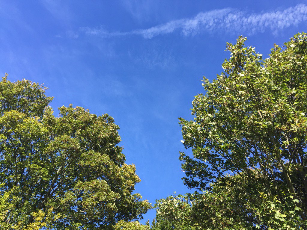 Tabitha Webb tweet media