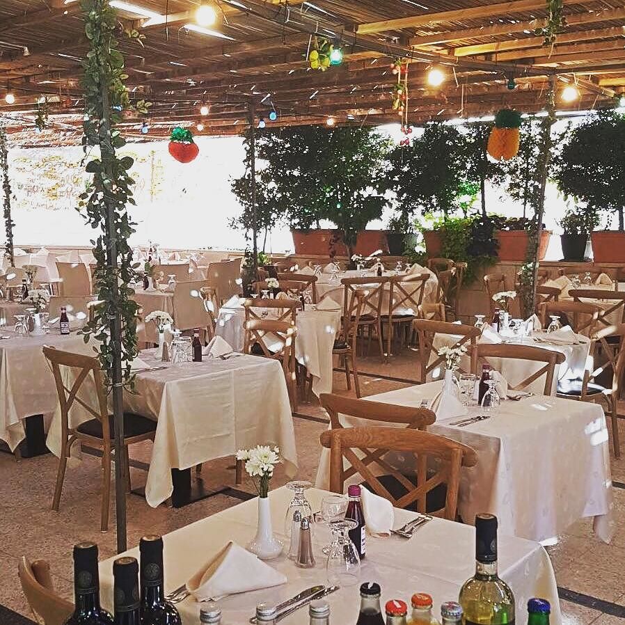 PrimaHotels's tweet photo. #Sukkot Samech from the beautiful #Sukkah at Hotel Prima Royale in #jerusalemm
@prima_hotels #PrimaRoyale
#חגשמח … https://t.co/a8X3LO6xov https://t.co/0xmkJvyZcS
