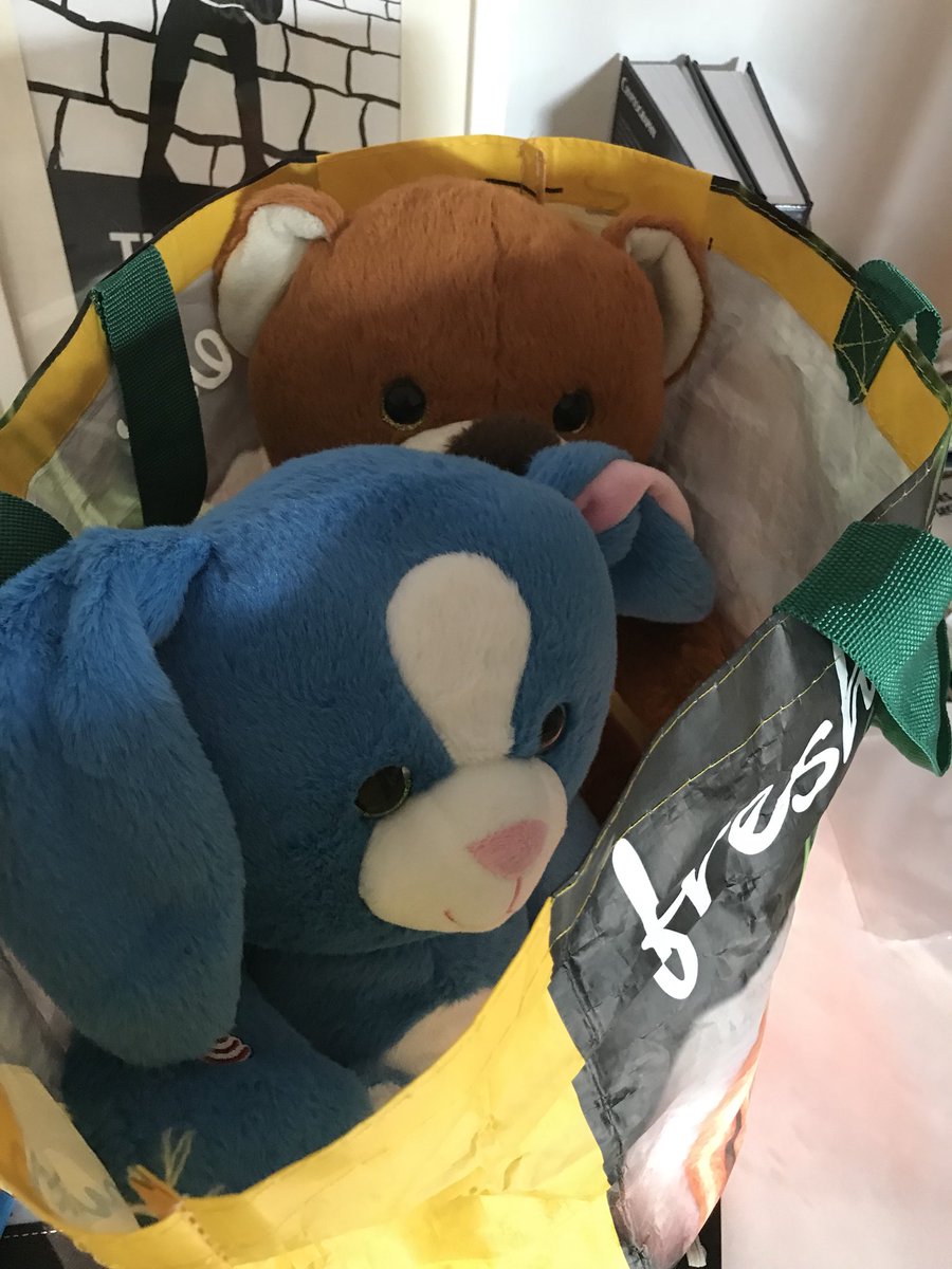 billatnapier's tweet photo. Our demo pets are all packed up ready to show how vulnerable IoT is https://t.co/XBggOyqQdu