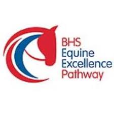 QuobStables's tweet photo. We still have spaces on a @BritishHorse #Stage2 #AssessementDay on 12th October! Be assessed&get your Skills Record signed- Call 02380694657 https://t.co/C9eFc1OPnQ