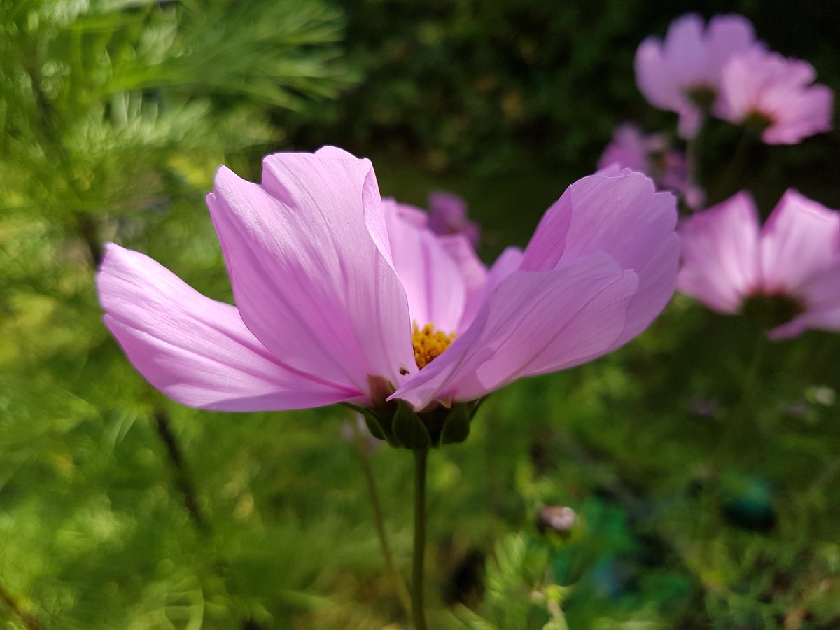 Catherine Cawley tweet media