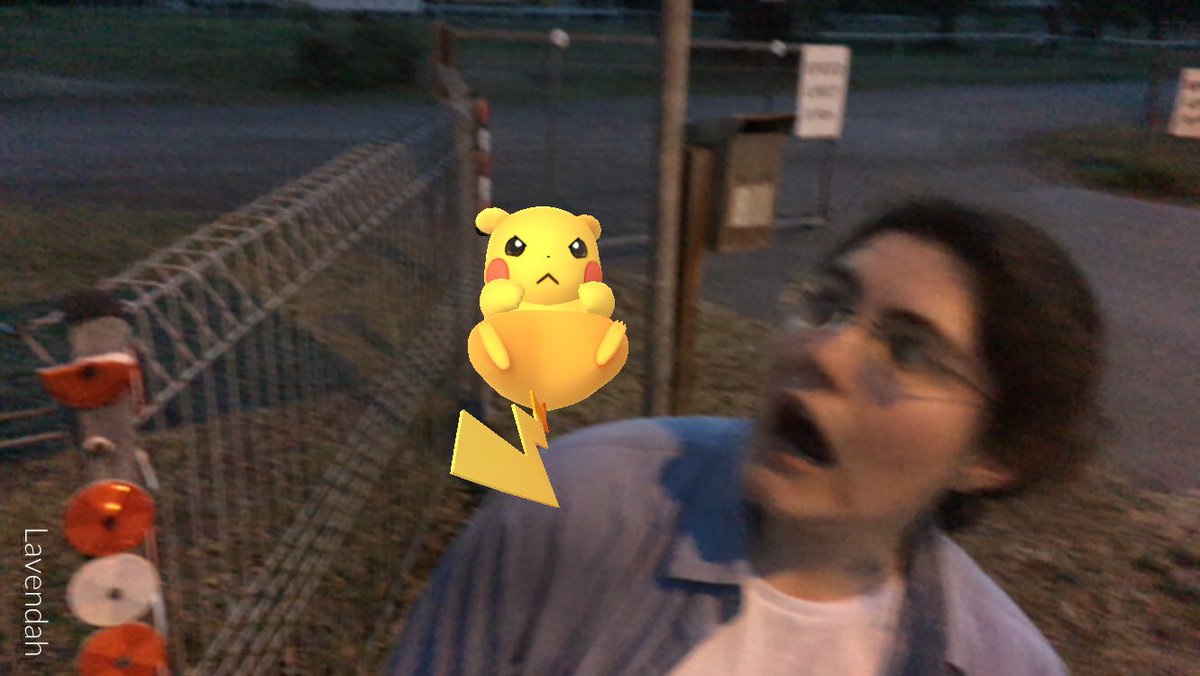 lavendah42's tweet photo. I normally don’t post the same thing on here & Instagram but this cracks me up too much 😁 #PokemonGo #notashiny https://t.co/DiFDyUoLtp