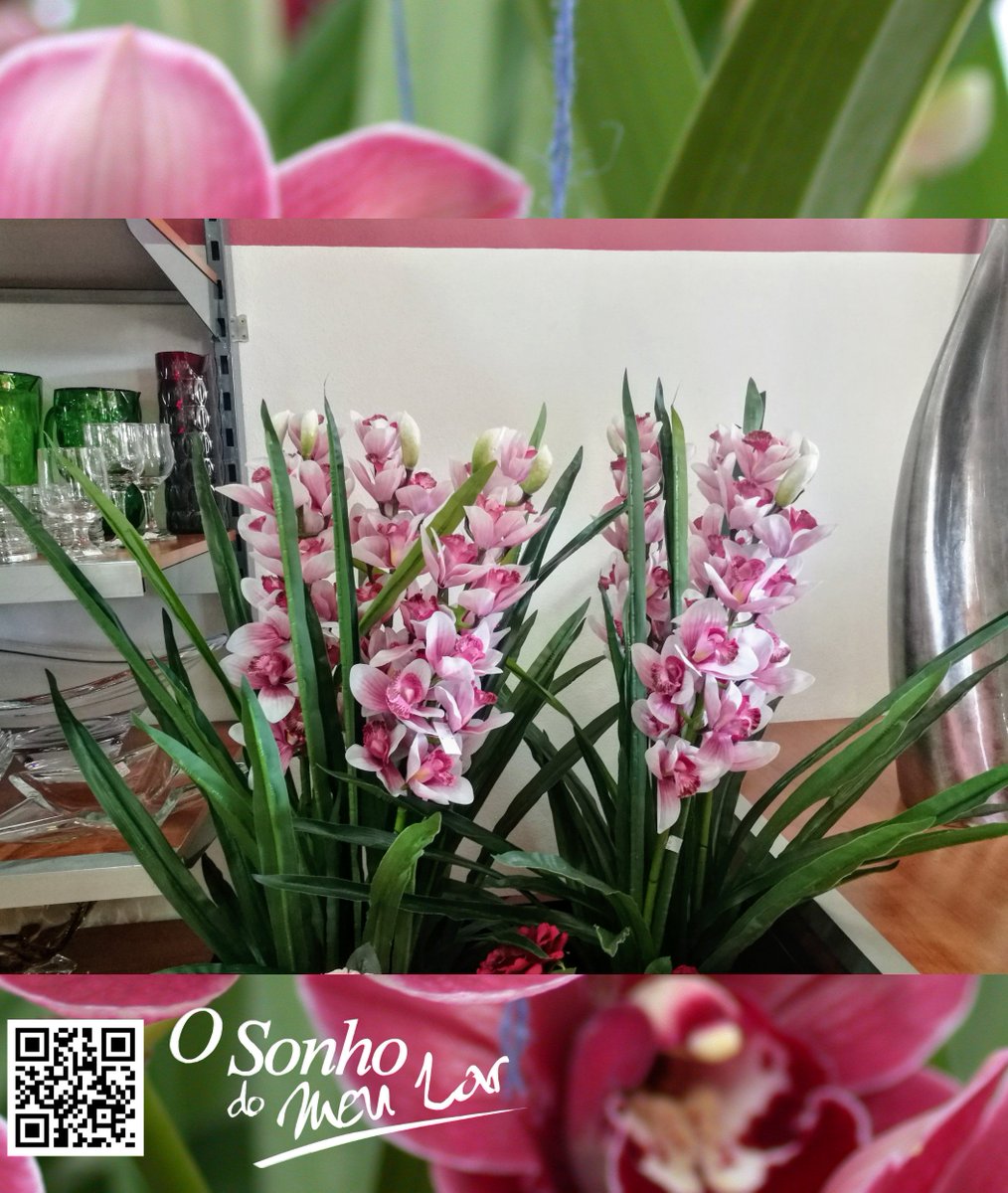 osonhodomeular's tweet photo. Decoração Interior 2017
CYMBIDIUM ARTIFICIAL
https://t.co/cD195mByJH
#cymbidium #plantaartificial #interior2017 #decoração #osonhodomeular https://t.co/kJFuHbHZMH