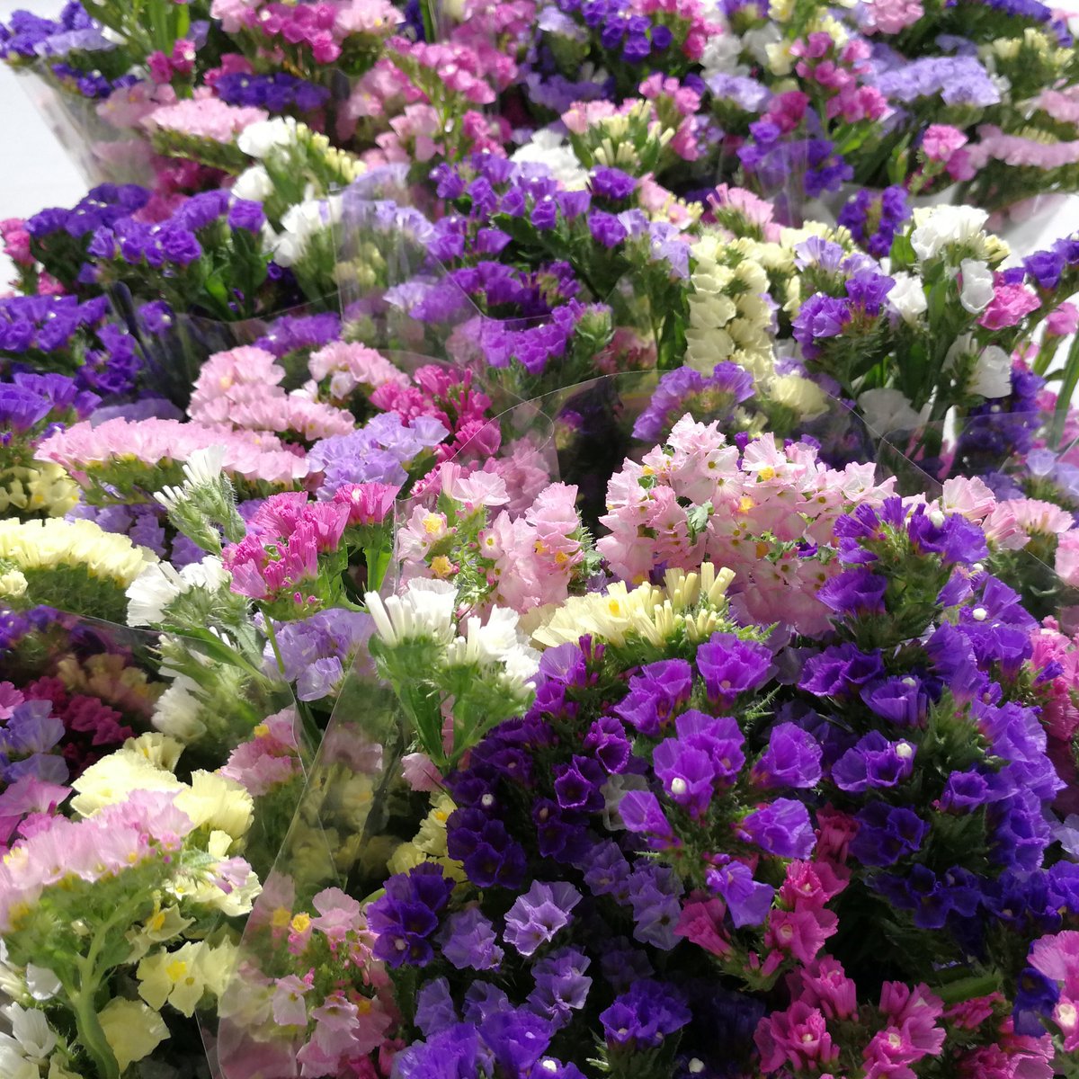 Colores, colores y más colores con nuestros pomos de Statice variada! #jueves #flores #colores #floristeriasbcn  #detallesflorales