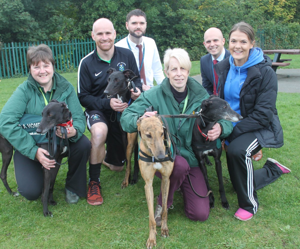 Redhill_School's tweet photo. Redhill Staff meet some of the greyhounds from Hall Green- to find out how and why you can help, please click here - https://t.co/lywY1sG1hP https://t.co/PqvuKQcHcw