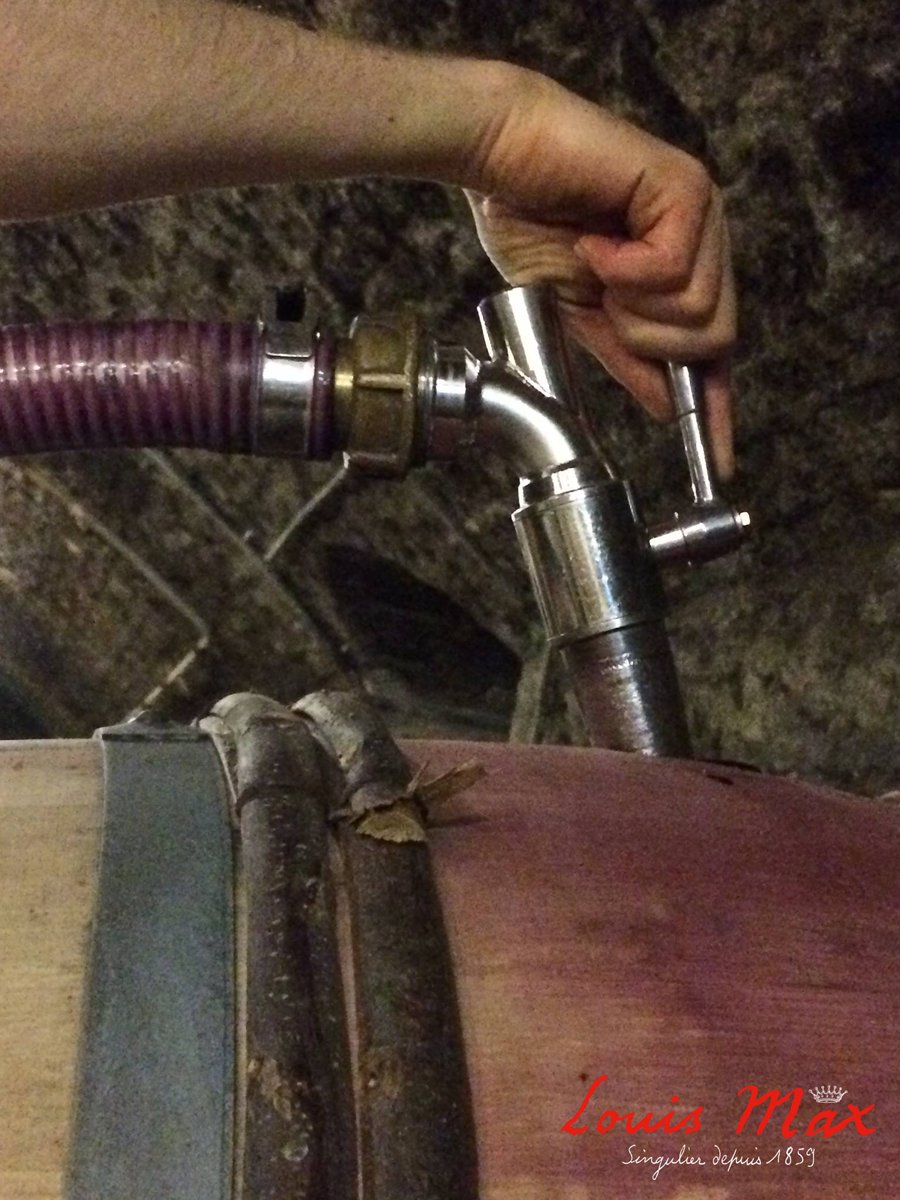 MaisonLouisMax's tweet photo. The new vintage is being put into barrels. #LouisMax #Burgundy #Organic #harvest2017 https://t.co/ZN30PWuxnj