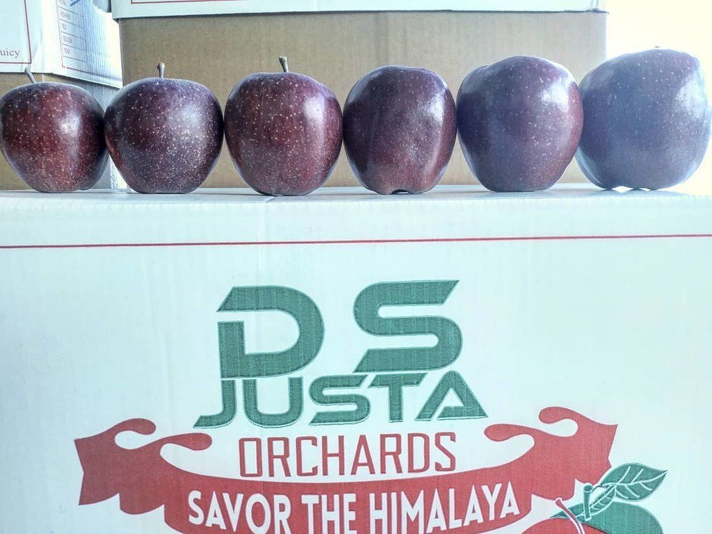 be_justa's tweet photo. An #apple a #day keep the #doctor away. #quota for a #week. #sunday off.
...
#bloodjusta #bejusta #instahimachal #… https://t.co/ua3WANjauX https://t.co/60Zh3bdECE