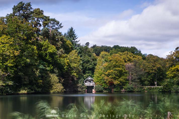 MarieDaveyPhoto's tweet photo. I took a trip to @WinkworthNT this week, and it really is rather lovely. Here are a few shots from my trip... I will be going back! #autumn https://t.co/uGvWLefhuQ
