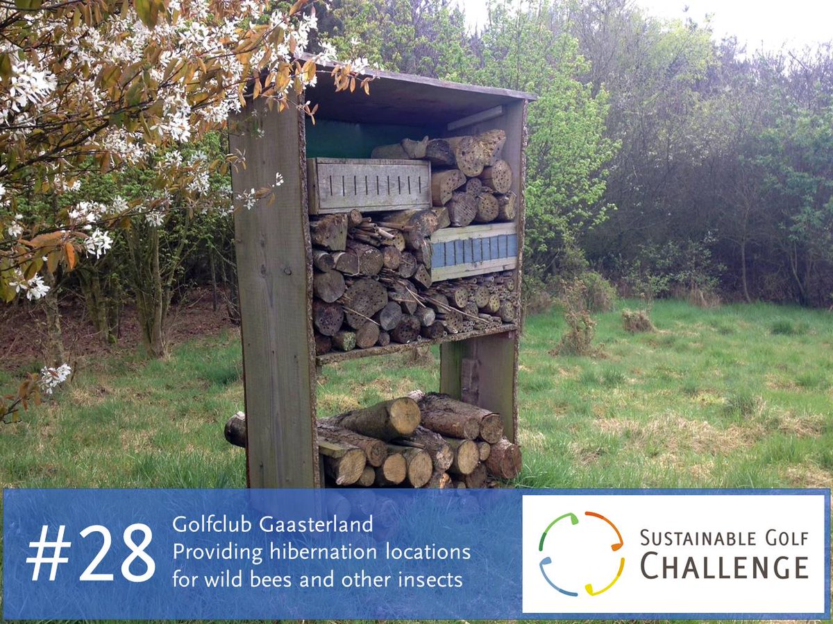 #bigyearchallenge #28: <a href="/GCGaasterland/">Golfclub Gaasterland</a> installed a hibernation 'hotel' for insects like wild bees #sustainablegolf