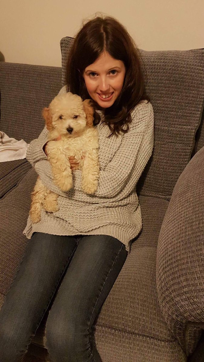 KatieCooper24's tweet photo. I am now a mummy to a #toycavapoo ππΆ https://t.co/Nj3tNkolQQ