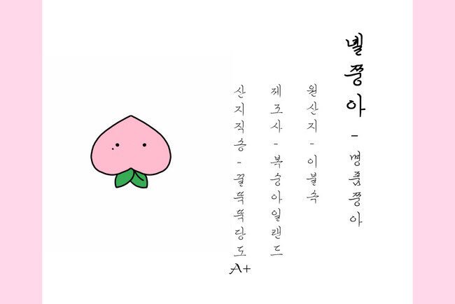 🍑녤카롱🍑 tweet media