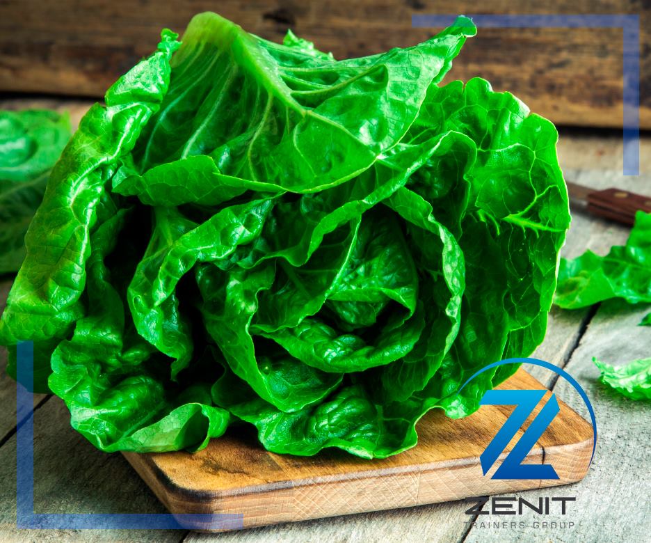 ZenitTrainers's tweet photo. #TIP: La #lechuga se caracteriza por ser una fuente de #ácidoláctico y #hierro.💪 #YoElegiCorrer #instafit #SoyMaratonista #trilife #verduras https://t.co/4WsixJdYzF