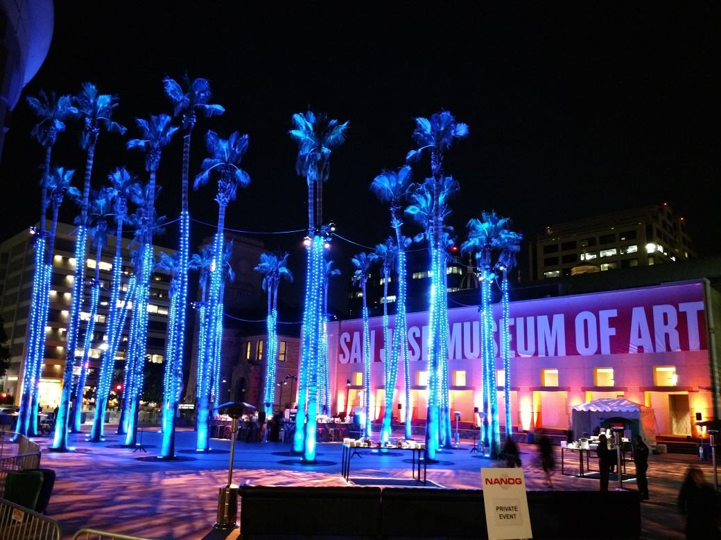 SyrexSA's tweet photo. #WorkonlineTour2017 Social event under the palms https://t.co/OihXSWMfd4