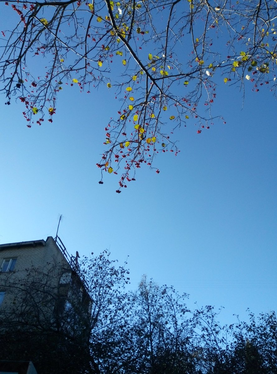 Максим Коваленко (@maks_kov) | Twitter