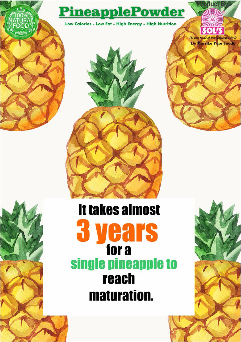 morrikopurefood's tweet image. Pineapple powder from Morriko Pure food adds a keen, brisk citrus like aroma which helps in cleansing.
#Pineapplepowder, #Cleansing