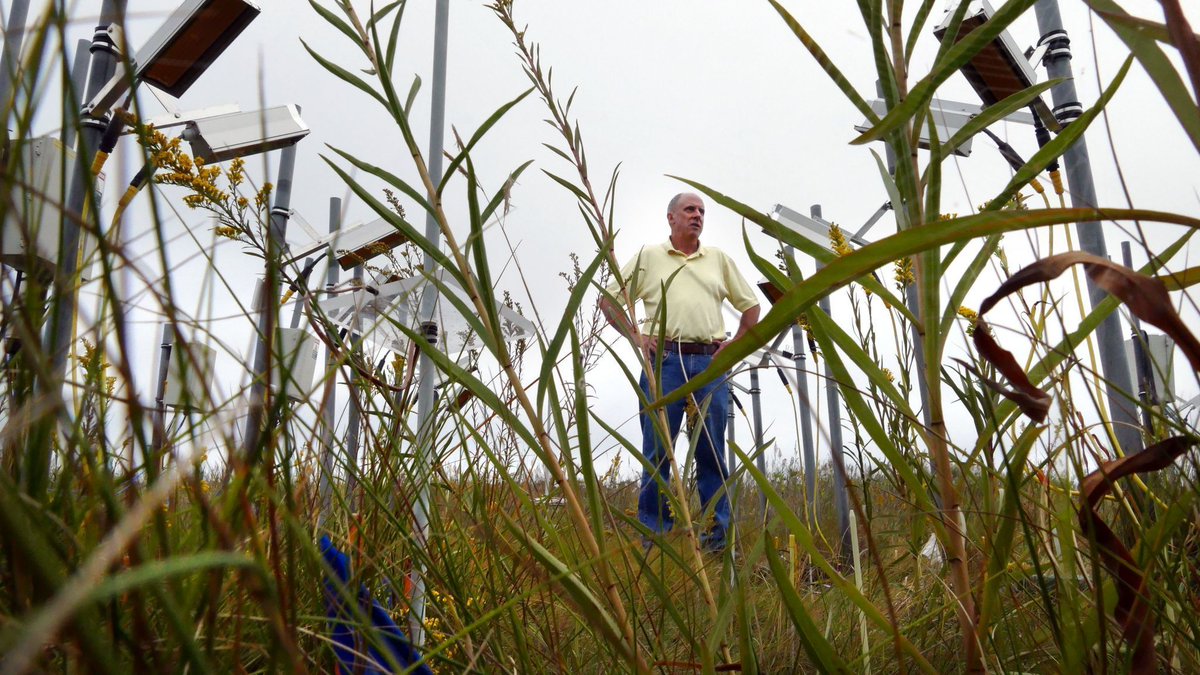 Baltimore Sun Green tweet media