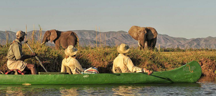 Canoeing in Mana Pools? Why not?
#onceinalifetime #canoe #manapools #zimbabwe #visitzimbabwe #safari #africanbushcamps #zambeziexpeditions