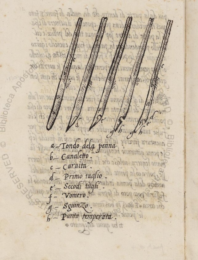 DigitaVaticana's tweet photo. #WorldTeachersDay2017 Operina da imparare di scrivere littera cancellarescha and Il modo di temperare le penne, Ludovico degli Arrighi, 1523 https://t.co/mKmOudq81U