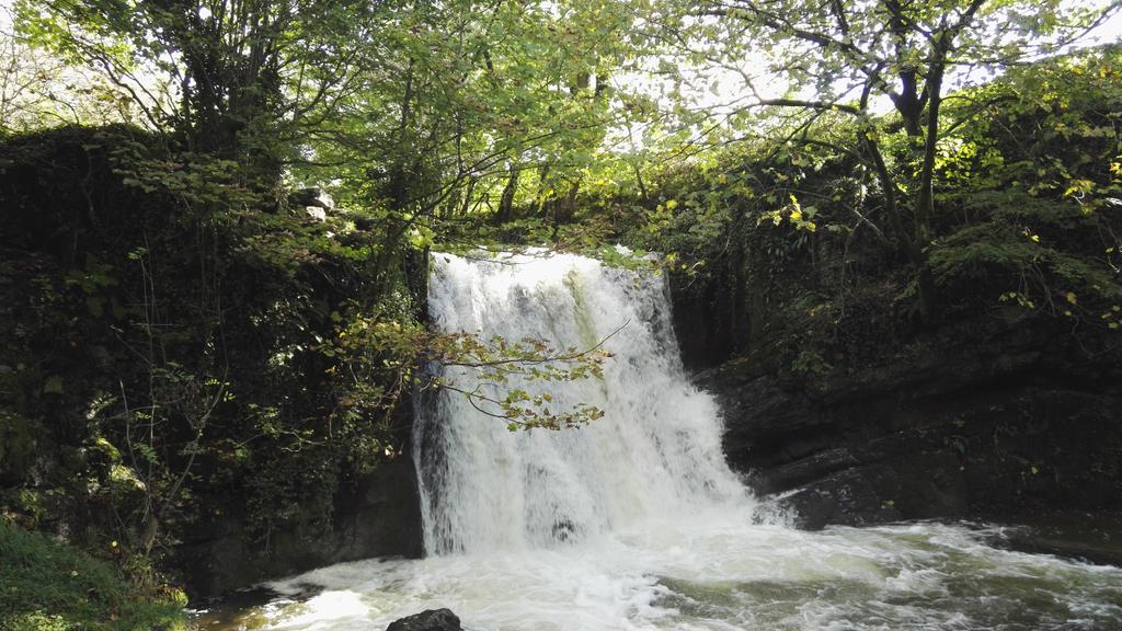 DBarrell_IFA's tweet image. Another great day out on our annual walking networking event with @McKellensLtd