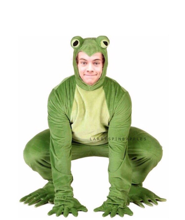 quitecurlyhs's tweet photo. 350 rts and I will wear this to Harry’s show next year ! https://t.co/e0ybs9QG8g