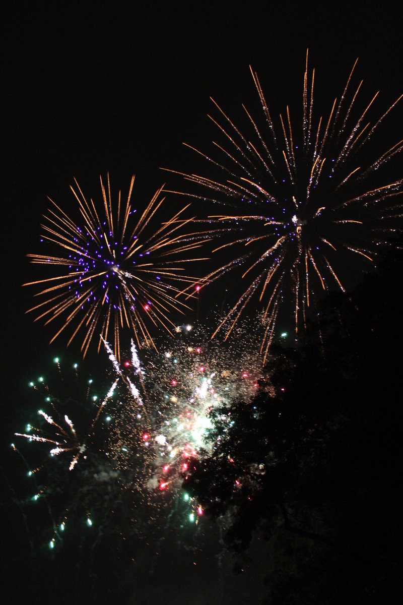 staugustinesp's tweet photo. 2 weeks until another fantastic #fireworks display organised by the #parentscommittee illuminates our grounds! Early bird tickets available! https://t.co/7cfD6EzySH