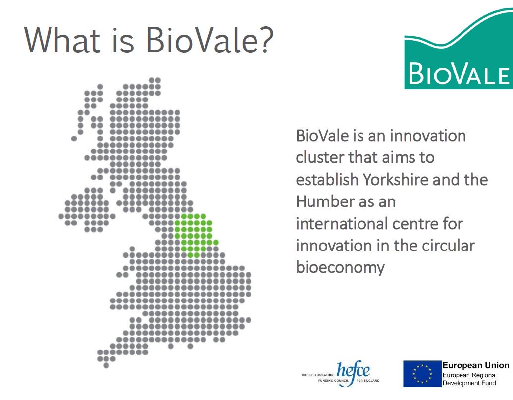 BioYorkshire's tweet photo. Today @MaggieBioVale gave a talk at #IFIB2017 #Rome. Showcasing the importance of the #bioeconomy & role of #BioVale #innovation #cluster https://t.co/7SncXoHWAK