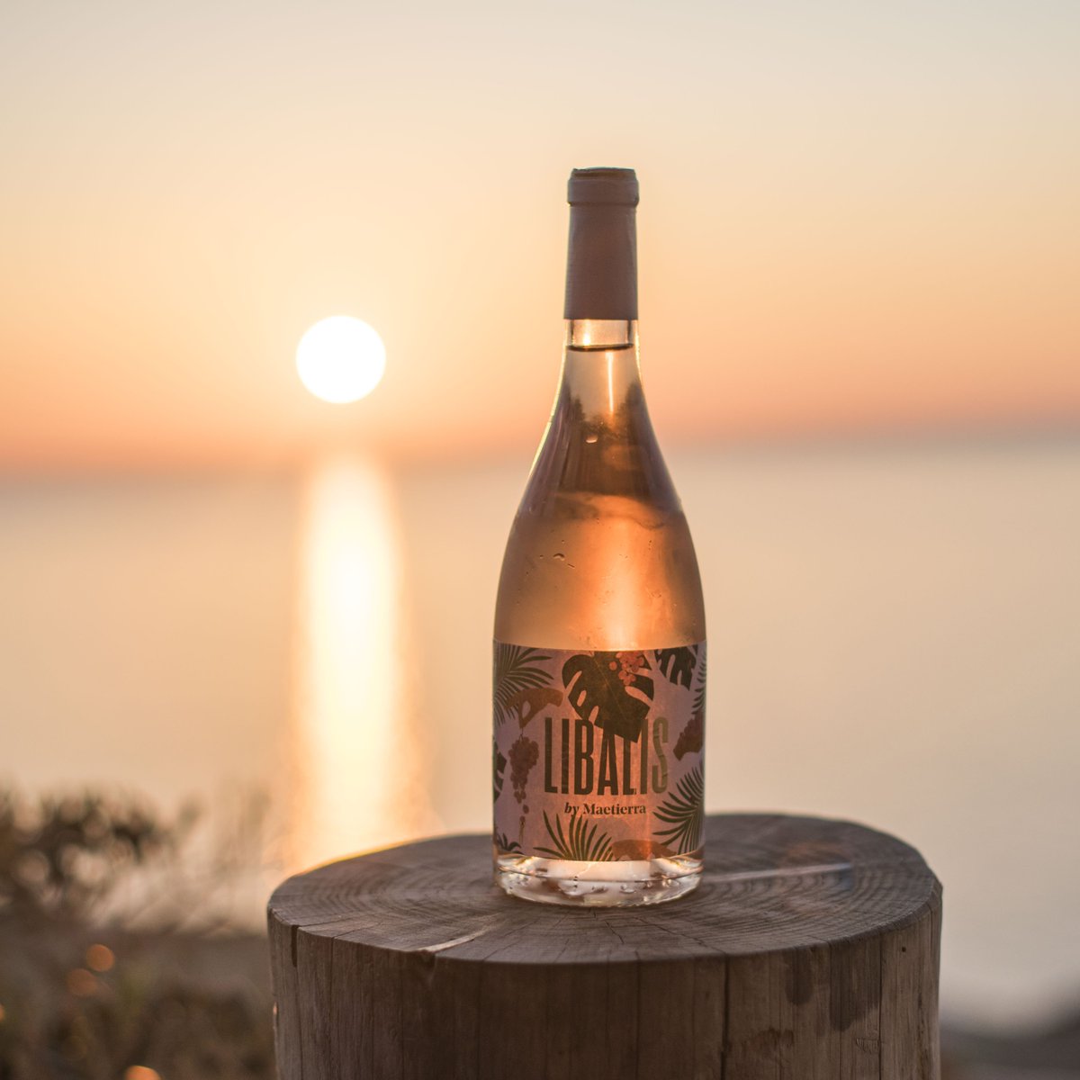 libaliswine's tweet photo. Una buena puesta y un #Libalis como propuesta. ¿Compras? #DemocraticWines #vino #wine #winelovers https://t.co/CRc9tRE9rD