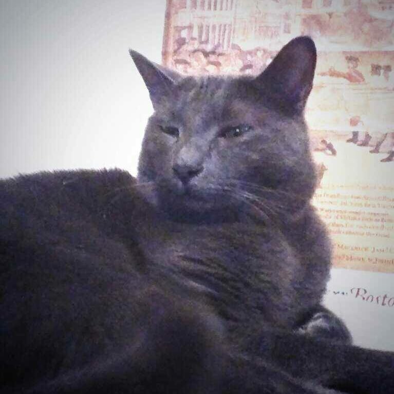 #NewProfilePic