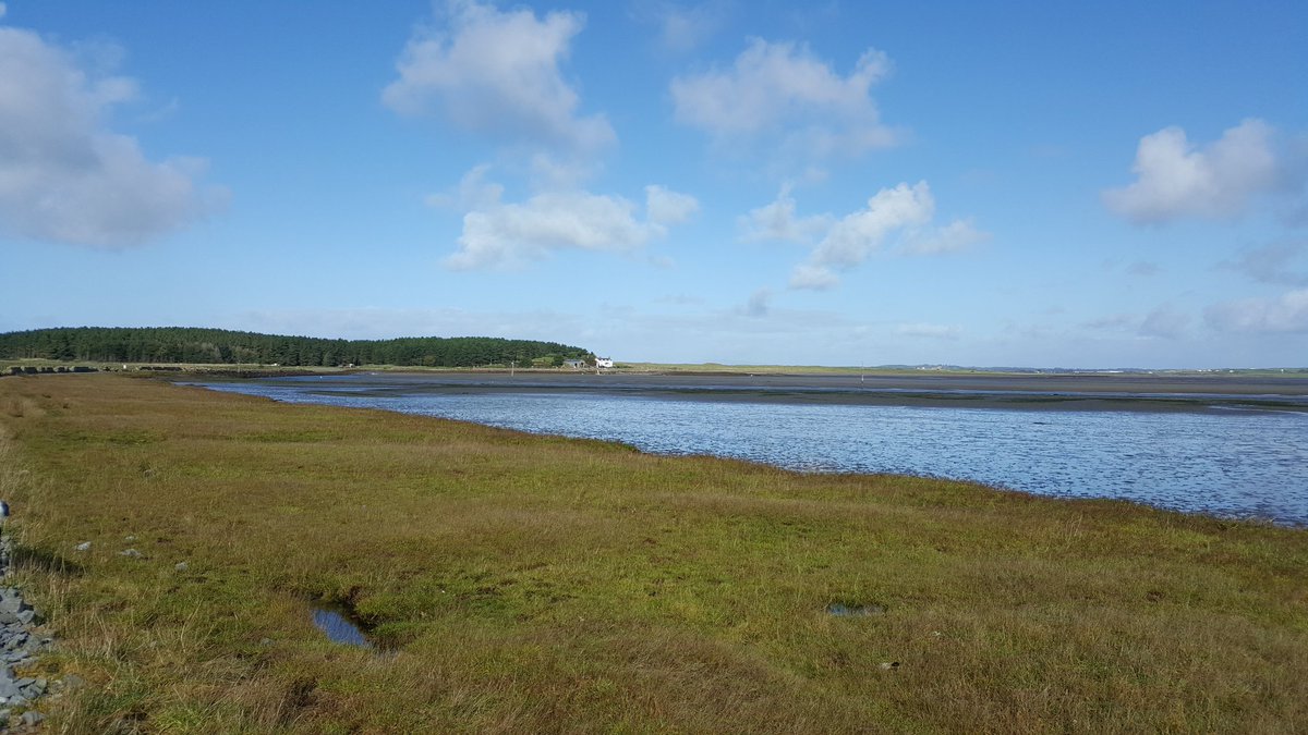 this is where we get our oysters from!!