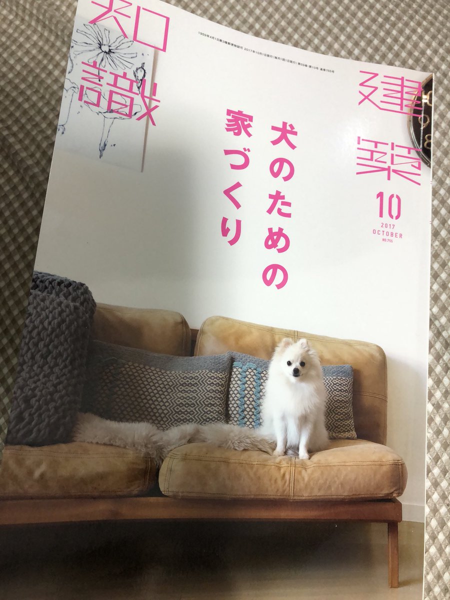 犬のための家づくり Twitter Search