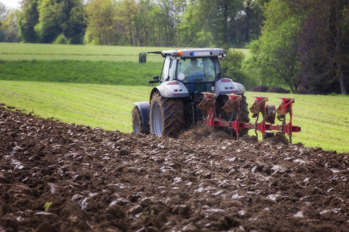 Ellacotts's tweet photo. Our #Autumn 2017 #Agricultural newsletter is out now! It focuses on #PatentBoxes, #Autoenrolment increases and more: https://t.co/8gKmJ0VQNC https://t.co/LGiRDGUBdf