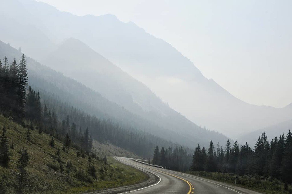stephborin's tweet photo. Throwback to winding roads and smokey mountains.
#mountains #tbt #roadtrip #rockies #rockymountains #explorealber… https://t.co/ZdOmftmceY https://t.co/EnMILMh2fN
