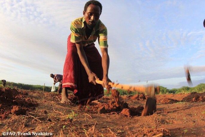 FAOKnowledge's tweet photo. By protecting people's access to land, fisheries, forests &amp; other natural resources we ensure #food  security for all. #Zerohunger #VGGT https://t.co/LdHVvbPoWf