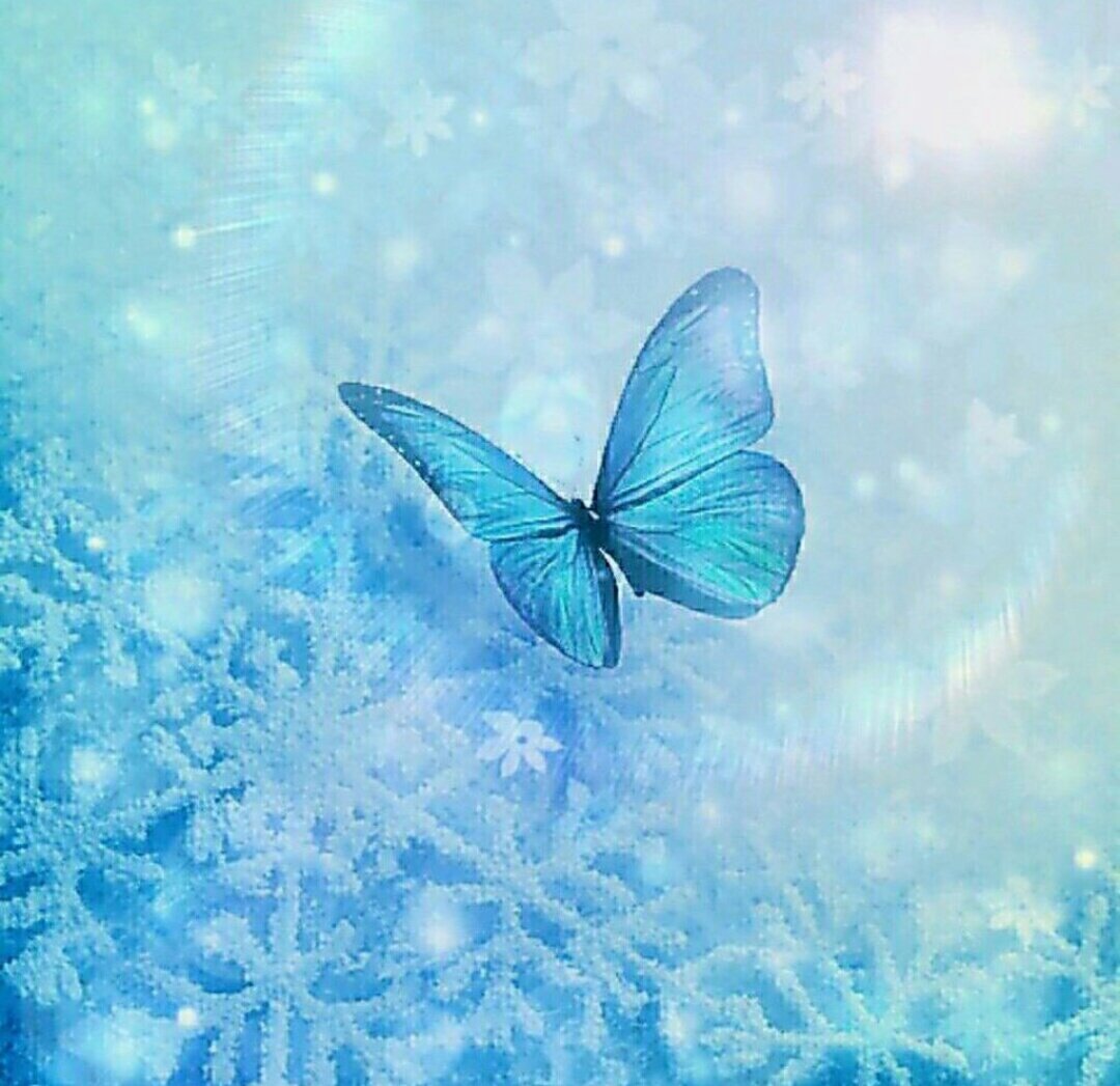 angel__of__rain's tweet photo. .

花無心招蝶 蝶無心尋花…🌹

私の一番好きな禅語です*.+ﾟ

花は蝶を招こうと
咲くのではなく
蝶も花を尋ねようという
心があるわけでなく

花が咲くと蝶が飛んで来て
蝶が飛んで来る所に
花が咲いているただそれだけ

御縁がある人とは
自然に一緒に居てしまうもの♥

. https://t.co/bNLzQNLcxR