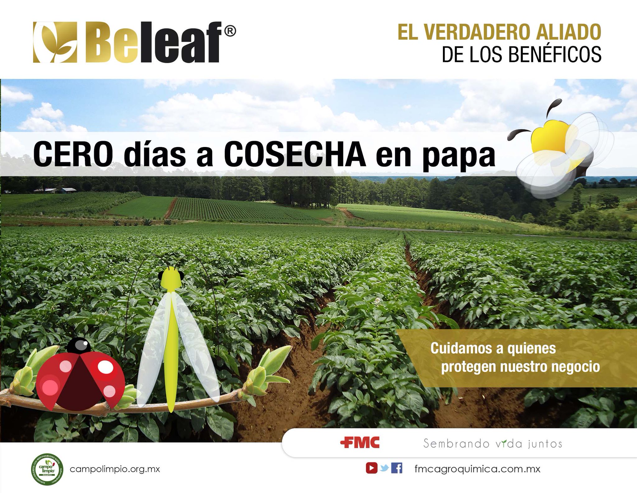 FMC Agroquímica on Twitter: