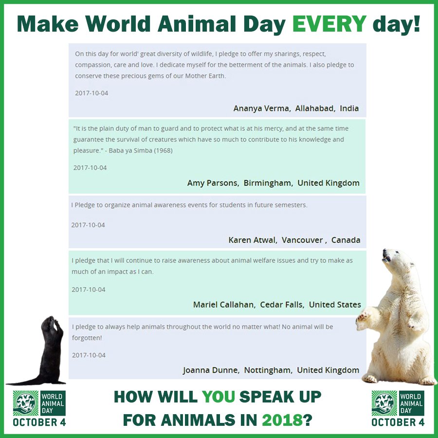 World Animal Day on Twitter: World Animal Day on Twitter: