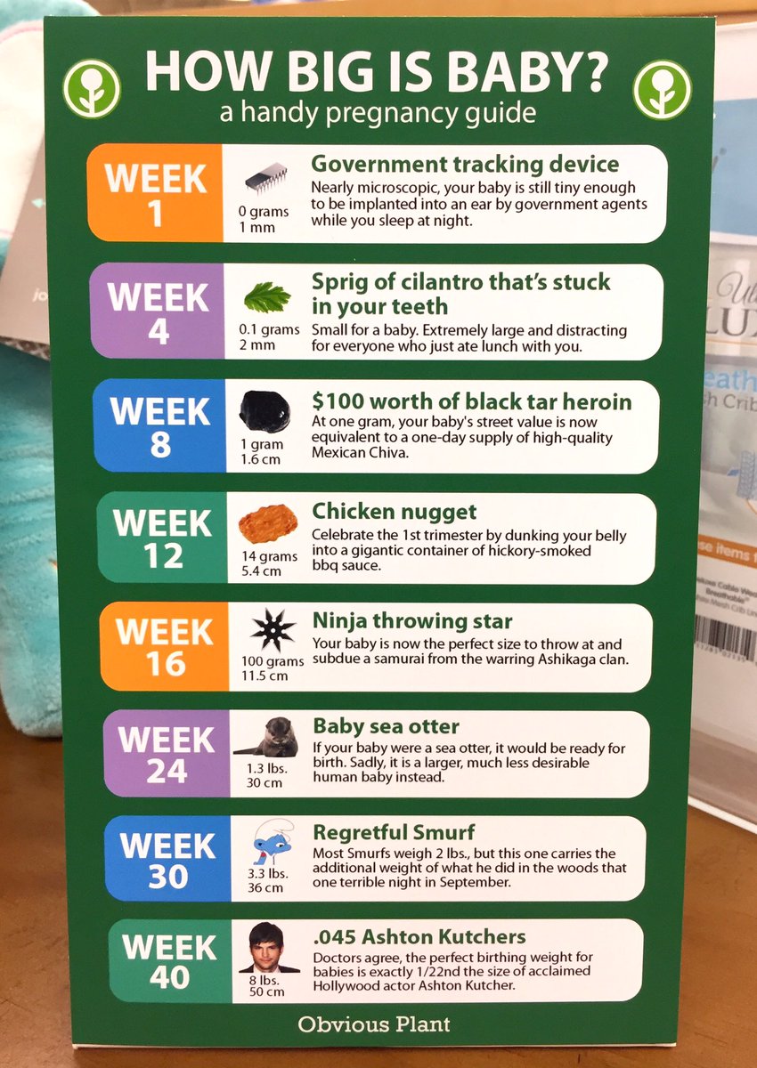Baby Size Chart Week By Week