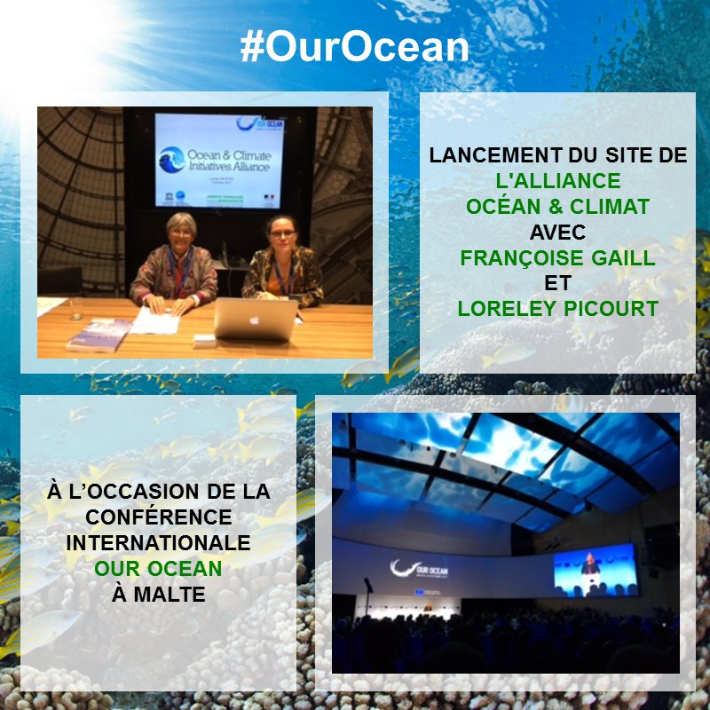 CNRS Écologie & Environnement (@cnrsecologie) on Twitter photo Lancement du nouveau site <a href="/ocean_climate/">Ocean & Climate Platform</a> à l'occasion de #OurOcean avec Françoise Gaill et Loreley Picourt
🌊ocean-climate-alliance.org 🌊 Lancement du nouveau site <a href="/ocean_climate/">Ocean & Climate Platform</a> à l'occasion de #OurOcean avec Françoise Gaill et Loreley Picourt
🌊ocean-climate-alliance.org 🌊