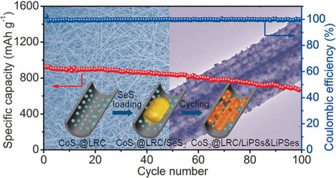 angew_chem's tweet image. selenium disulfide-encapsulating and cobalt disulfide-decorated #carbonfibers used as cathode for #lithiumstorage doi.wiley.com/10.1002/anie.2…