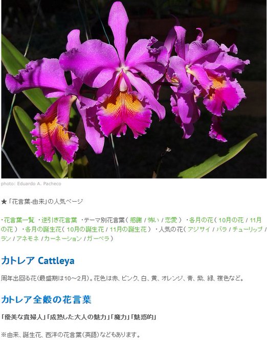 大人ののtwitterイラスト検索結果 古い順 大人ののtwitterイラスト検索結果 古い順