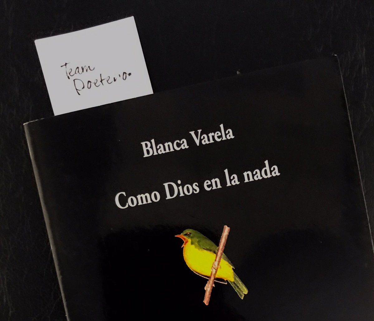 “Currículum Vitae” poema de:

Blanca Varela
Perú, 1926