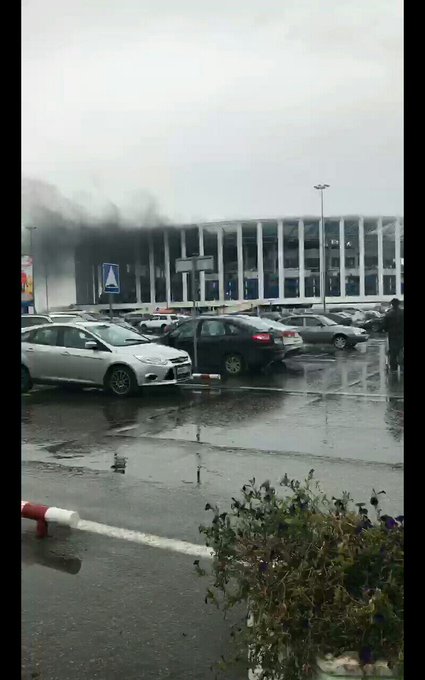 عرض الصورة على تويتر