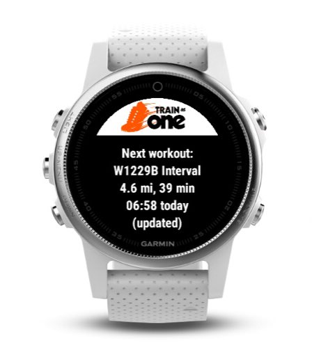 trainasone garmin